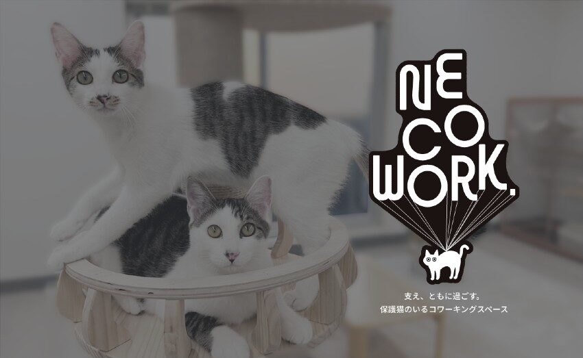 保護猫活動に貢献できるコワーキングスペース「NE COWORK.」が11月1日渋谷にプレオープン！クラファンも開始予定